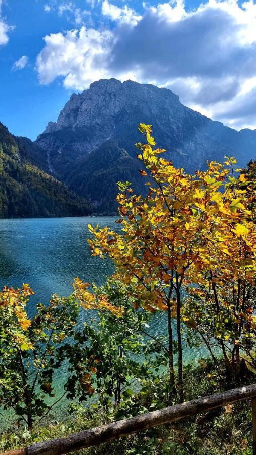 Alloggi Buon Riposo Tarvisio Dış mekan fotoğraf