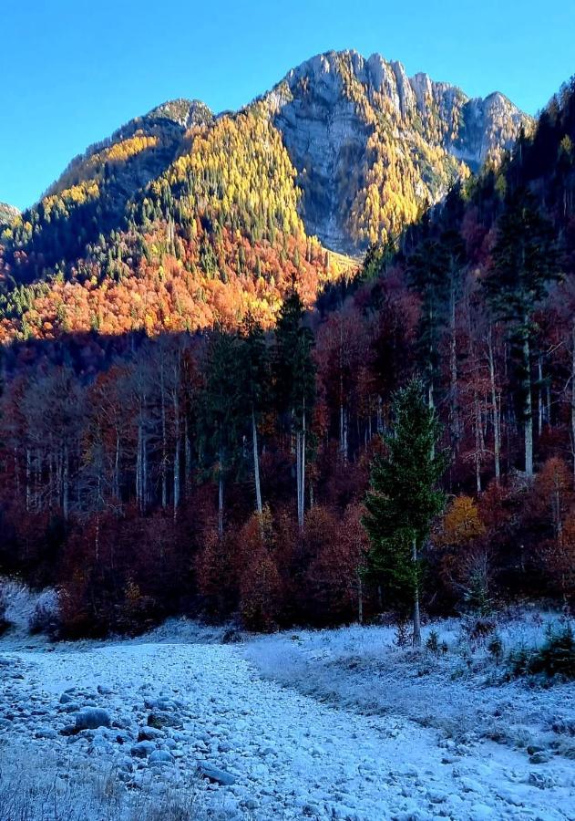 Alloggi Buon Riposo Tarvisio Dış mekan fotoğraf